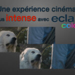 EclairColorOK.jpeg