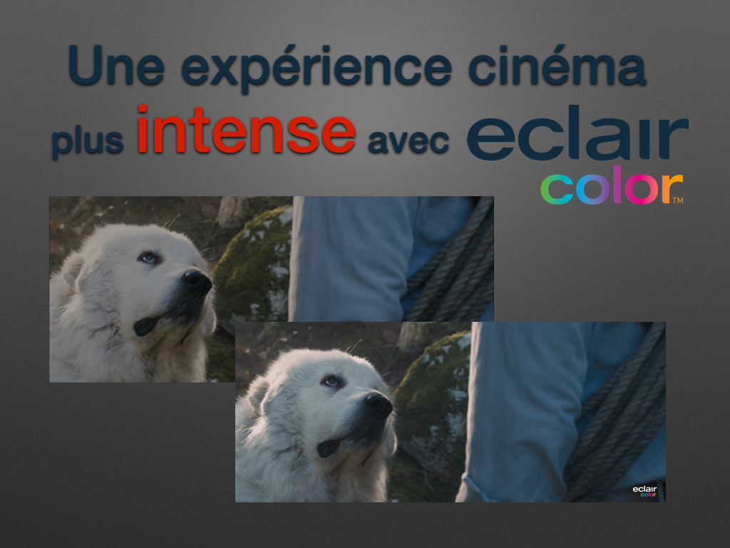 EclairColorOK.jpeg