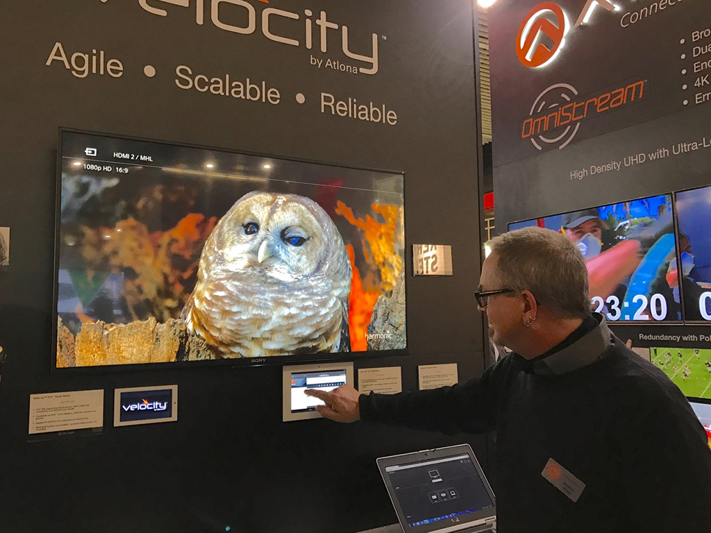 Velocity_ISE-.jpeg