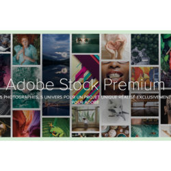 AdobeStockPremium.jpg