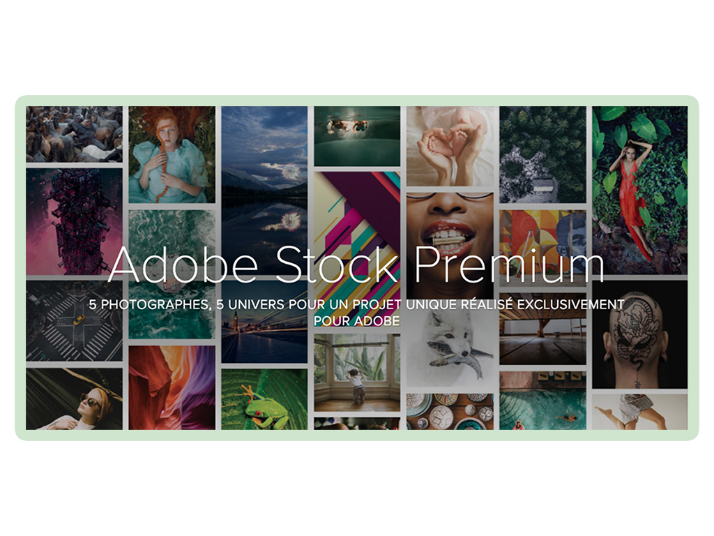 AdobeStockPremium.jpg
