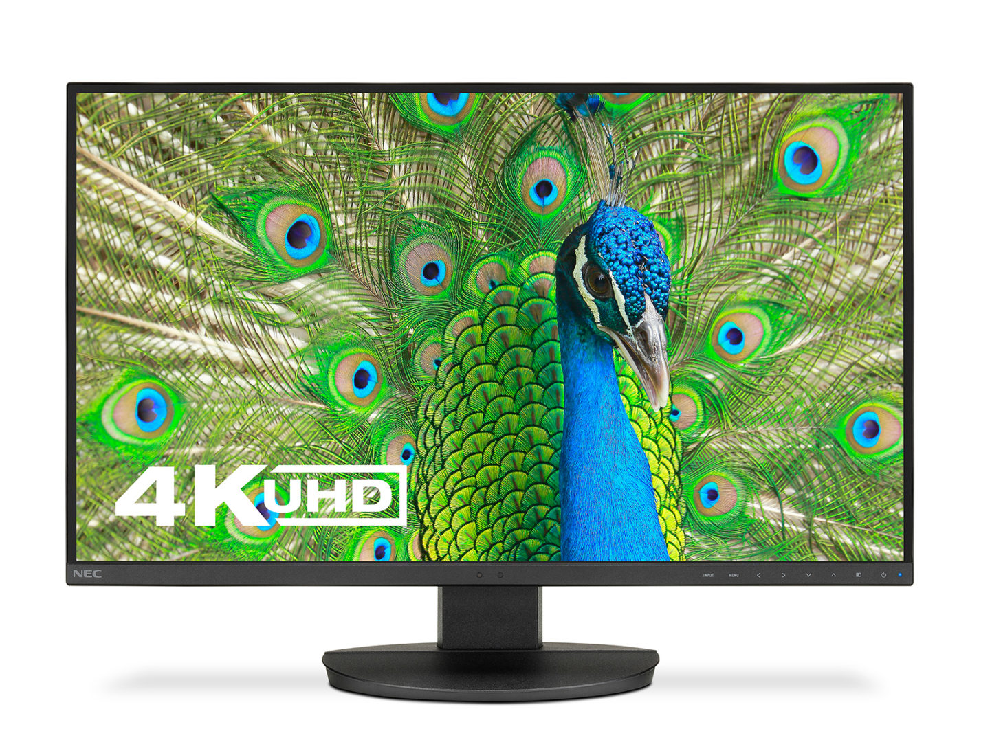 NEC_EA271U_BK_HO_4KUHD_peacock_1600x1200.jpg