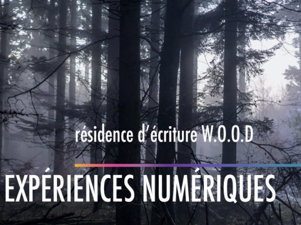 RESIDENCE_WOOD001.jpeg