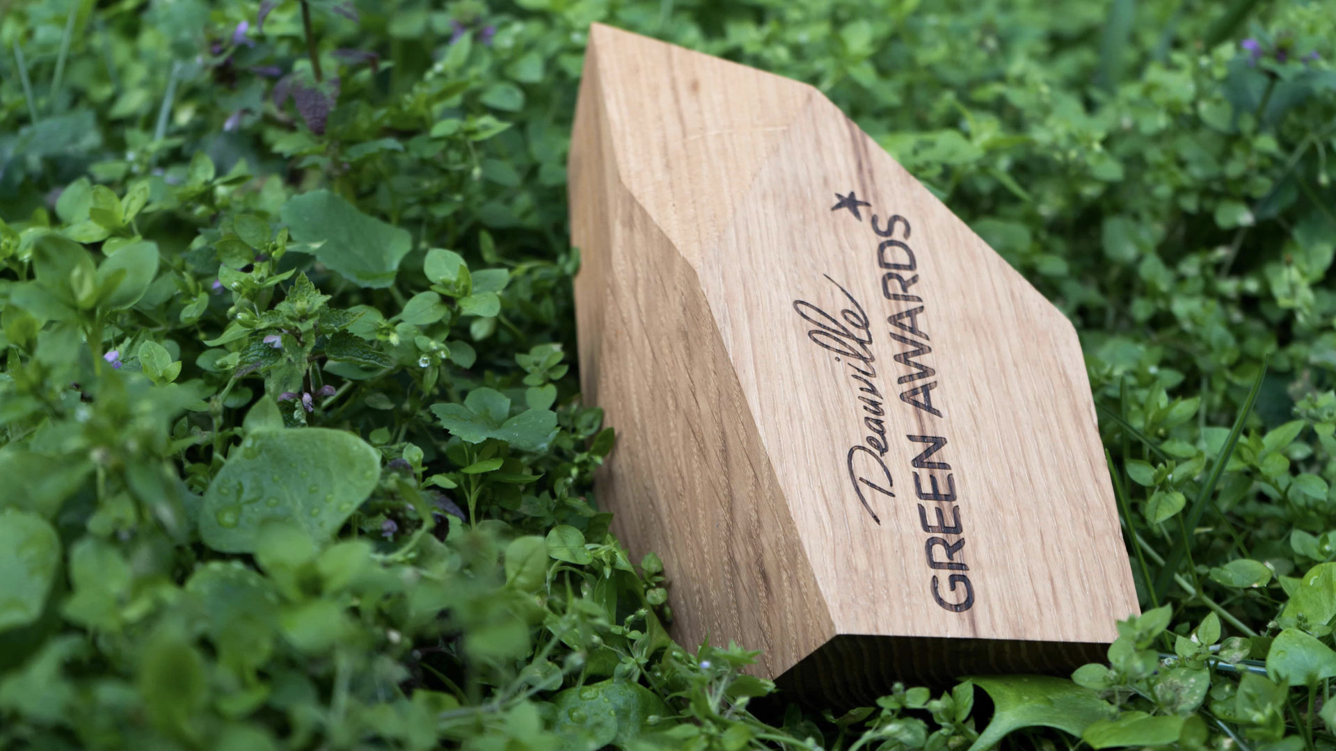 Deauville Green Awards #10 : environnement et RSE au programme © DR