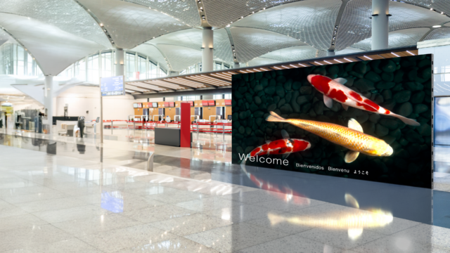 De nouveaux écrans Sony Crystal LED milieu de gamme