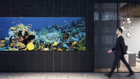Panasonic MEVIX TL-55LV12A : le panneau LED 55'' qui simplifie les murs d'images