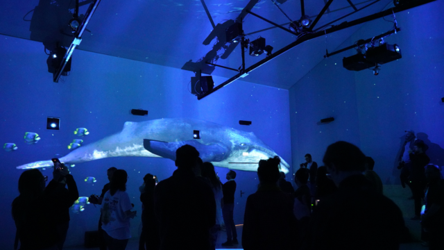 Vidéo mapping : L’hybride présente ses deux premiers programmes immersifs à Lille