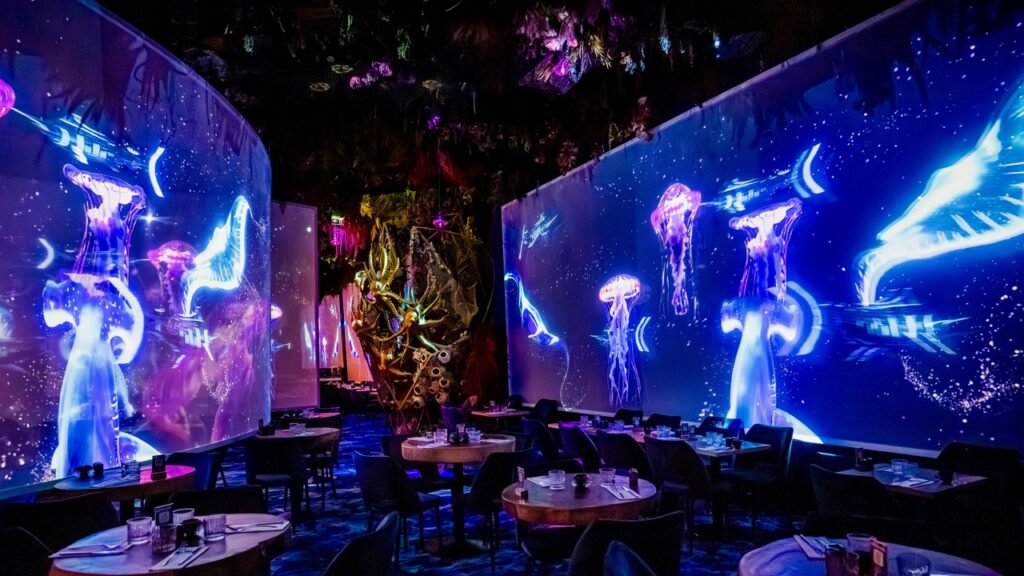 Ephemera Restauration Immersive