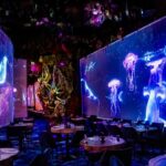 Ephemera Restauration Immersive