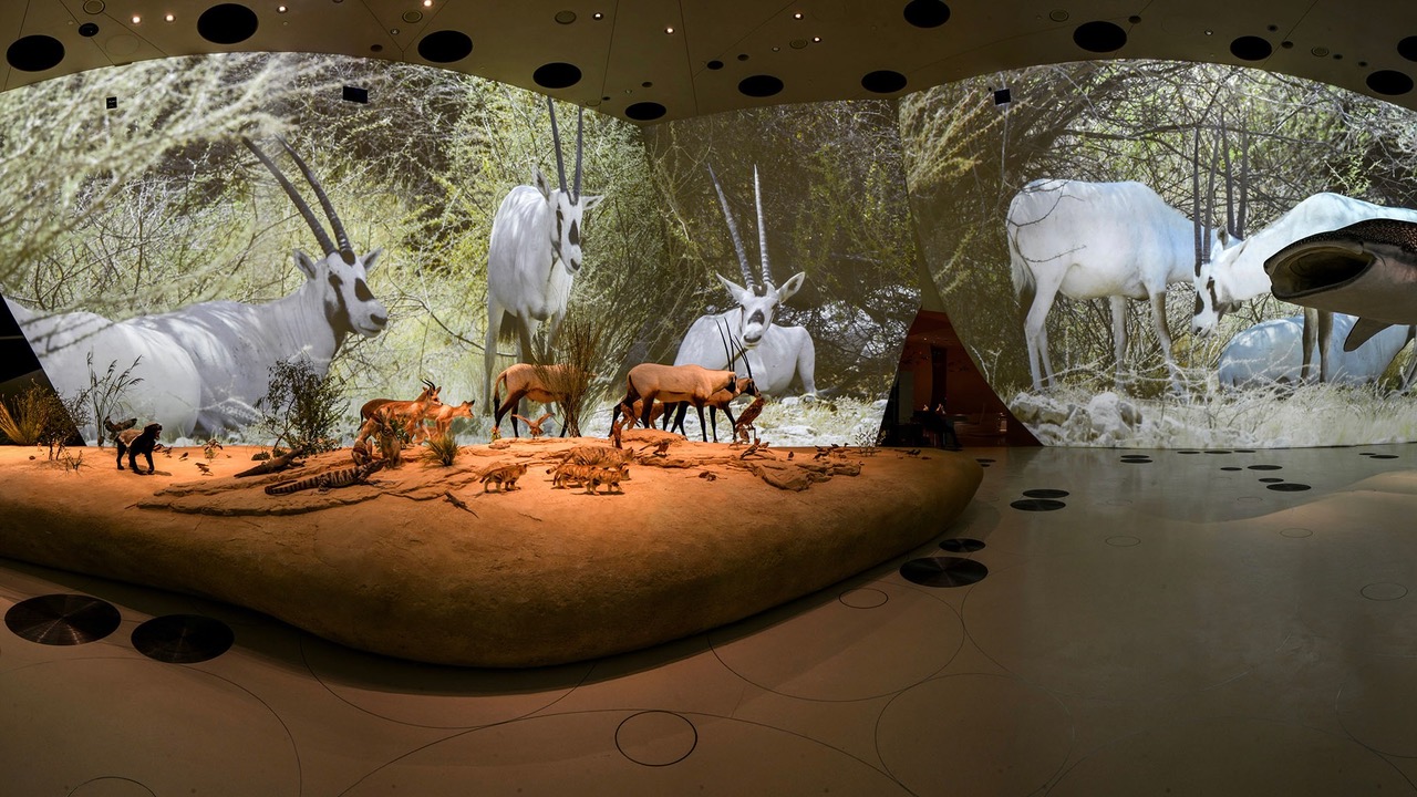Panasonic et HIVE modernisent l’installation monumentale du Musée national du Qatar
